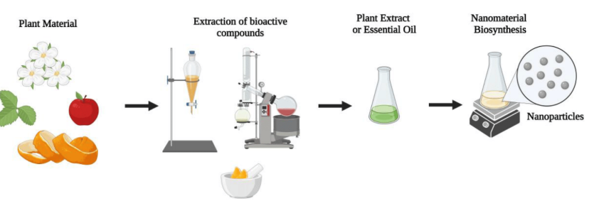 Plant parts like flowers fruits and leaves can be used to prepare extracts or oils.PNG